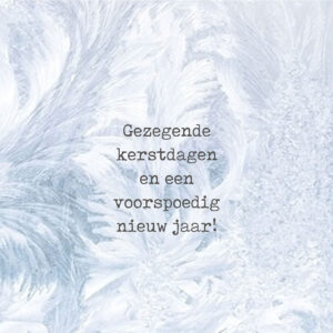 MA41224 - Minikerstkaart 'IJs'