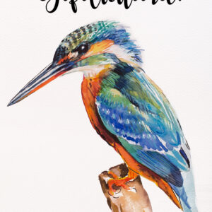 MA38100 Voordeelkaart 'Gefeliciteerd - IJsvogel'