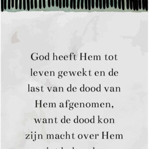 MA55216 Minikaartje 'Tot leven gewekt'