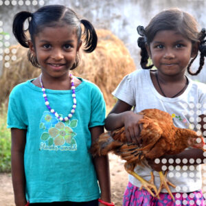 dsc 0051 dots scaled