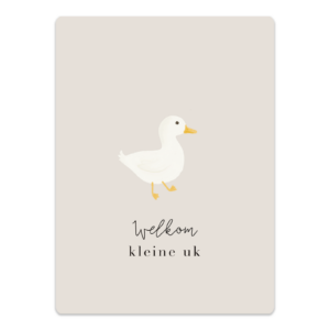 MA58101 Welkom kleine uk