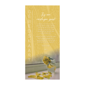 MA24061 Bij een verslagen geest VZ